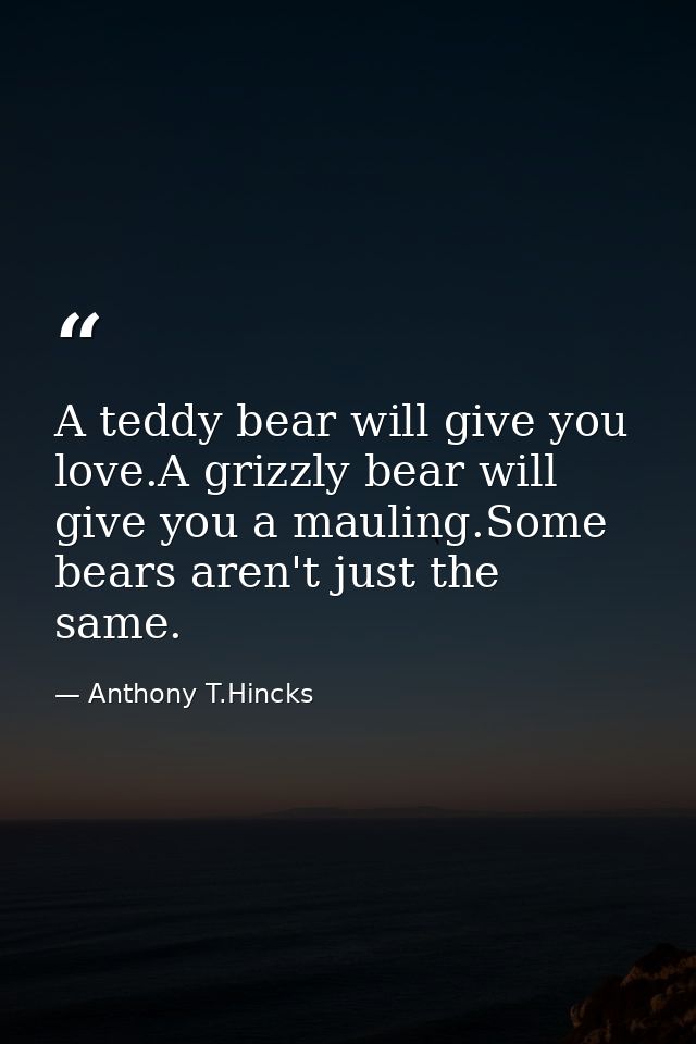 A teddy bear will give you love.A grizzly bear will give you a mauling.Some bears aren't just the same. — Anthony T.Hincks