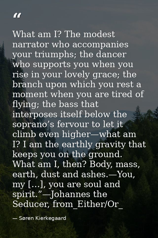 What am I? The modest narrator who accompanies your triumphs; the dancer who supports you when you rise in your lovely g — Søren Kierkegaard