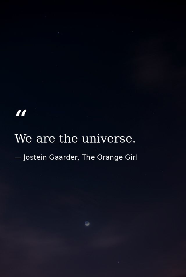We are the universe. — Jostein Gaarder, The Orange Girl