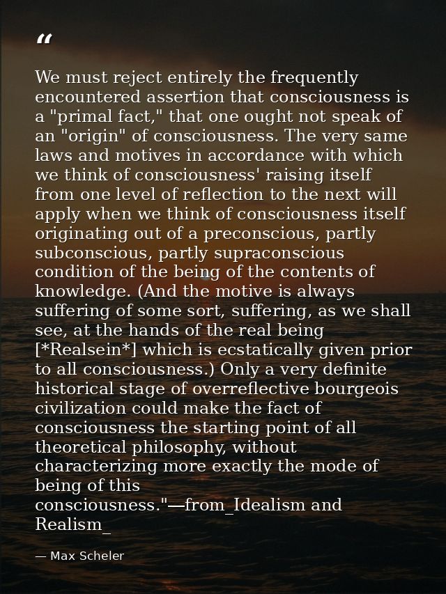 We must reject entirely the frequently encountered assertion that consciousness is a "primal fact," that one ought not s — Max Scheler