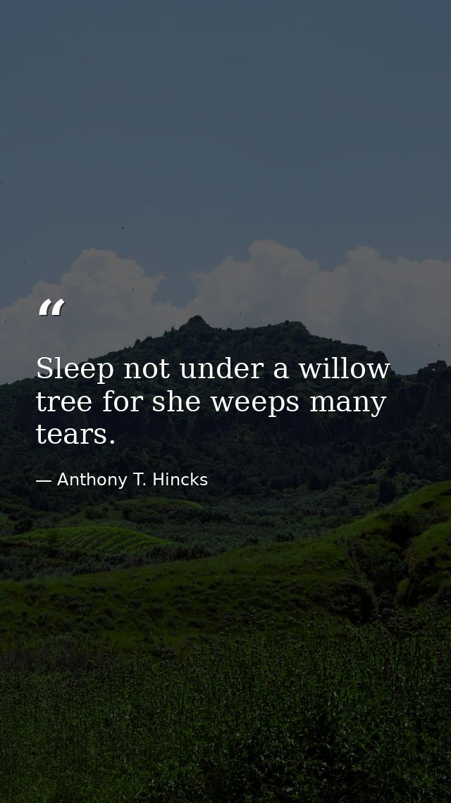 Sleep not under a willow tree for she weeps many tears. — Anthony T. Hincks