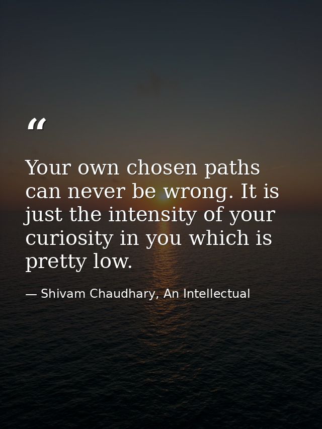 Your own chosen paths can never be wrong. It is just the intensity of your curiosity in you which is pretty low. — Shivam Chaudhary, An Intellectual