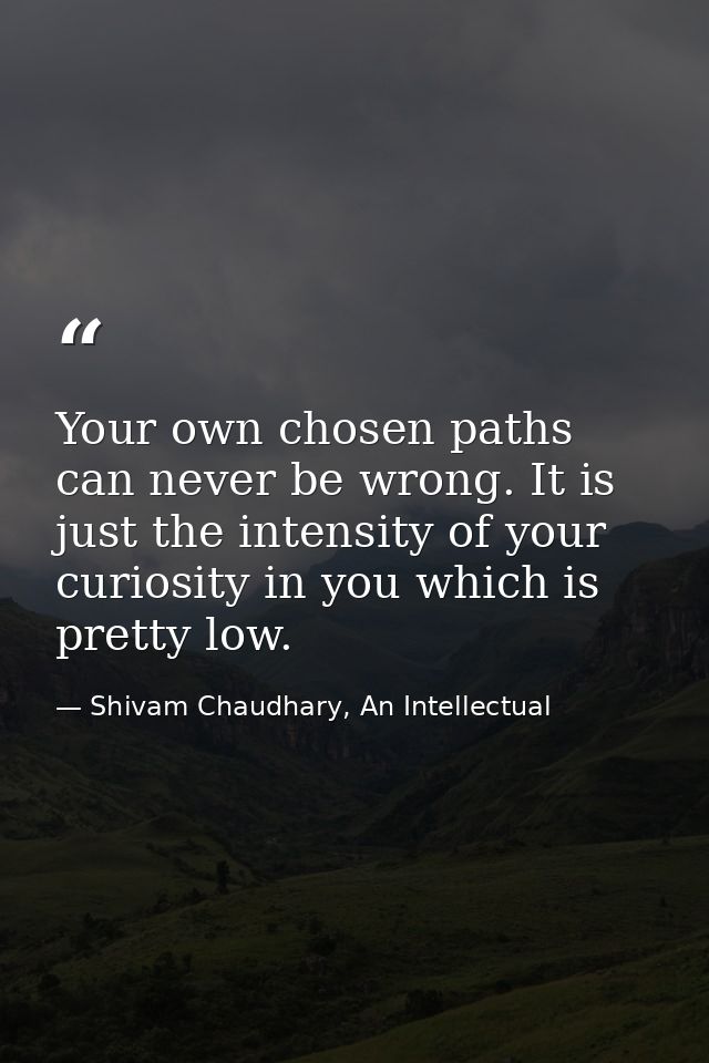 Your own chosen paths can never be wrong. It is just the intensity of your curiosity in you which is pretty low. — Shivam Chaudhary, An Intellectual