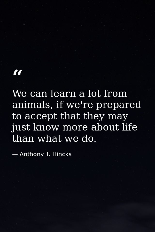 We can learn a lot from animals, if we're prepared to accept that they may just know more about life than what we do. — Anthony T. Hincks