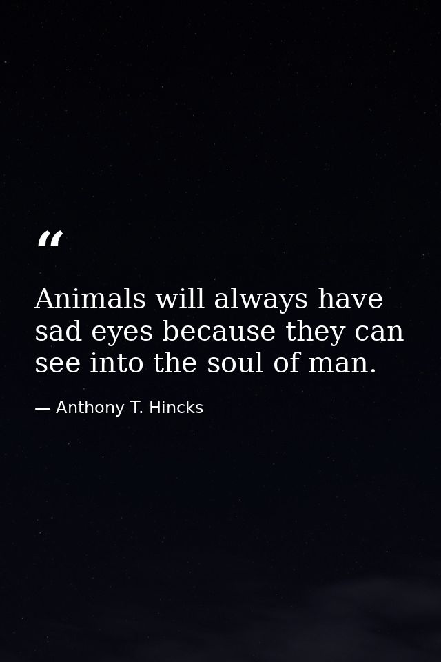 Animals will always have sad eyes because they can see into the soul of man. — Anthony T. Hincks