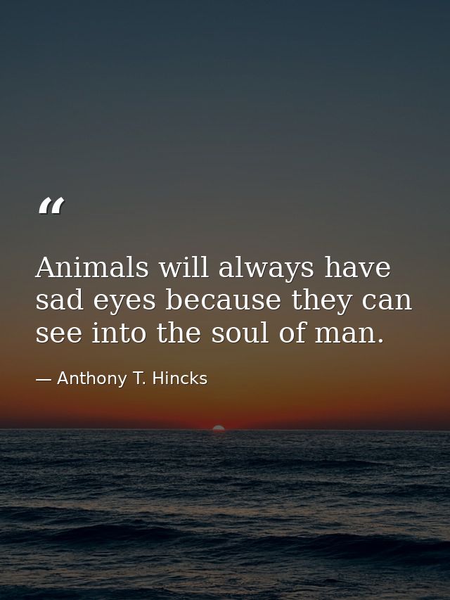 Animals will always have sad eyes because they can see into the soul of man. — Anthony T. Hincks