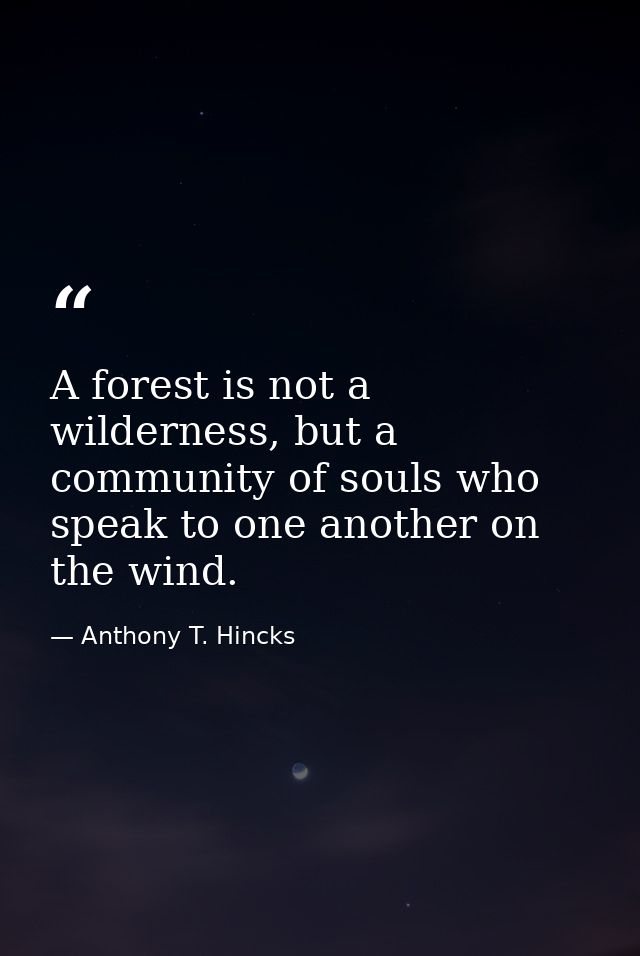 A forest is not a wilderness, but a community of souls who speak to one another on the wind. — Anthony T. Hincks