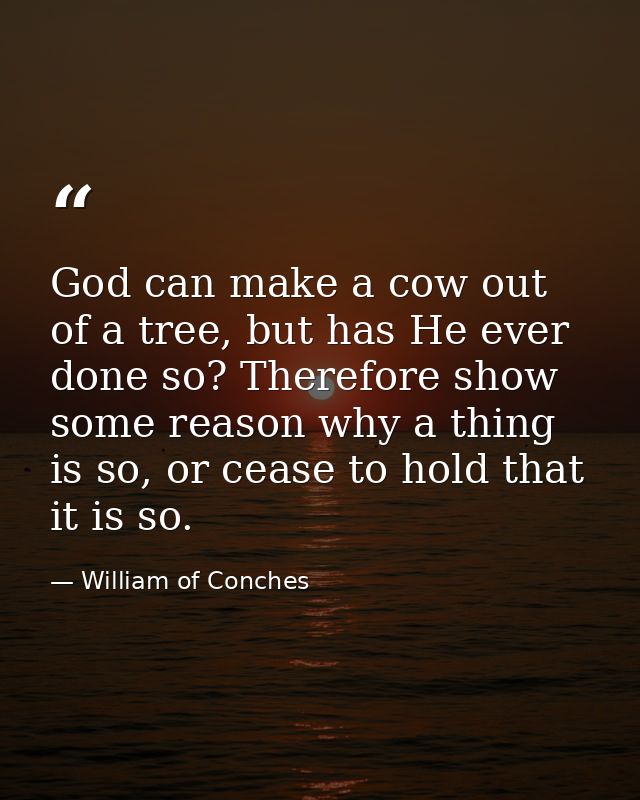 God can make a cow out of a tree, but has He ever done so? Therefore show some reason why a thing is so, or cease to hol — William of Conches
