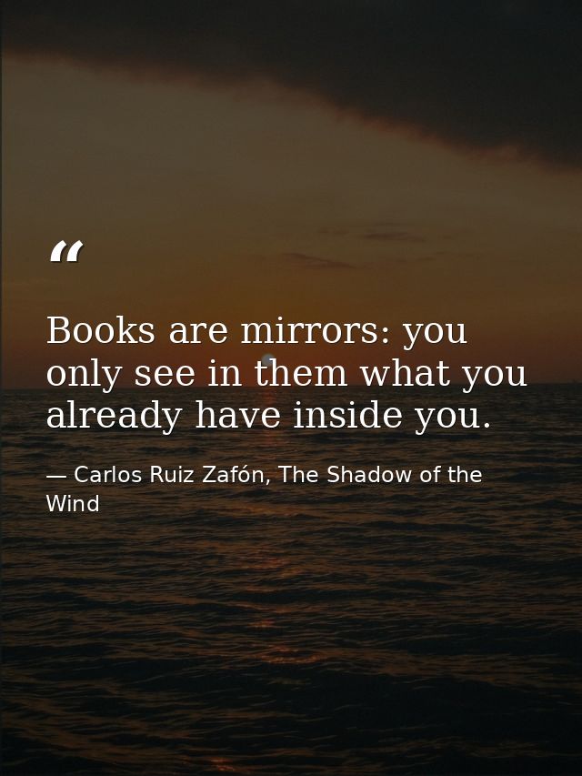 Books are mirrors: you only see in them what you already have inside you. — Carlos Ruiz Zafón, The Shadow of the Wind