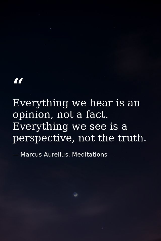 Everything we hear is an opinion, not a fact. Everything we see is a perspective, not the truth. — Marcus Aurelius, Meditations