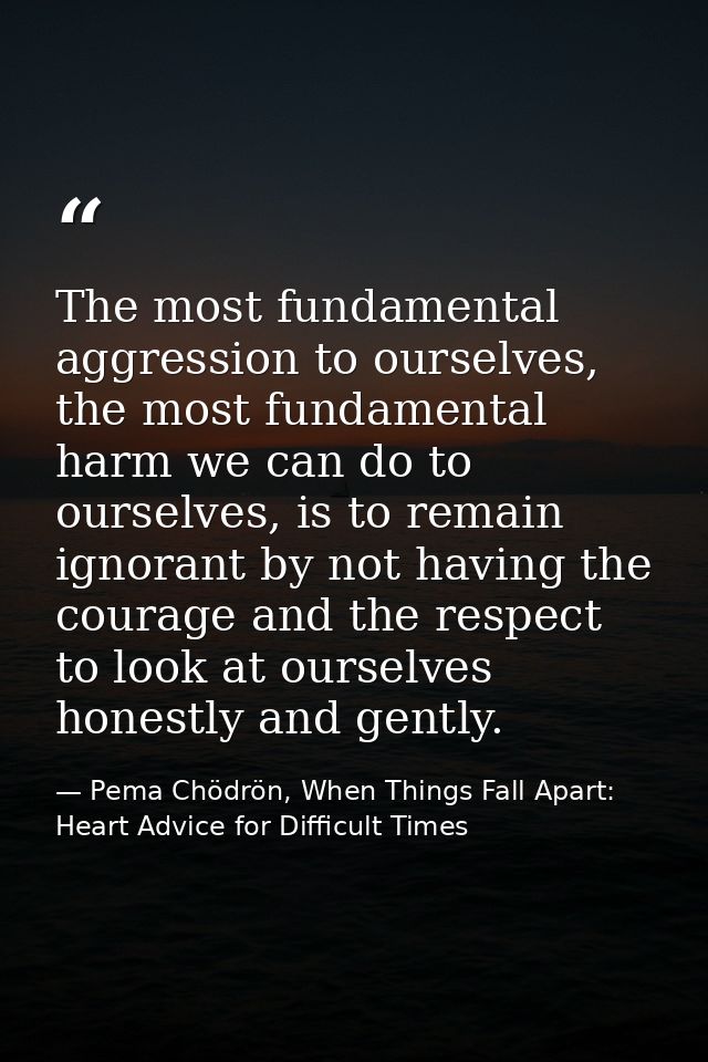 The most fundamental aggression to ourselves, the most fundamental harm we can do to ourselves, is to remain ignorant by — Pema Chödrön, When Things Fall Apart: Heart Advice for Difficult Times