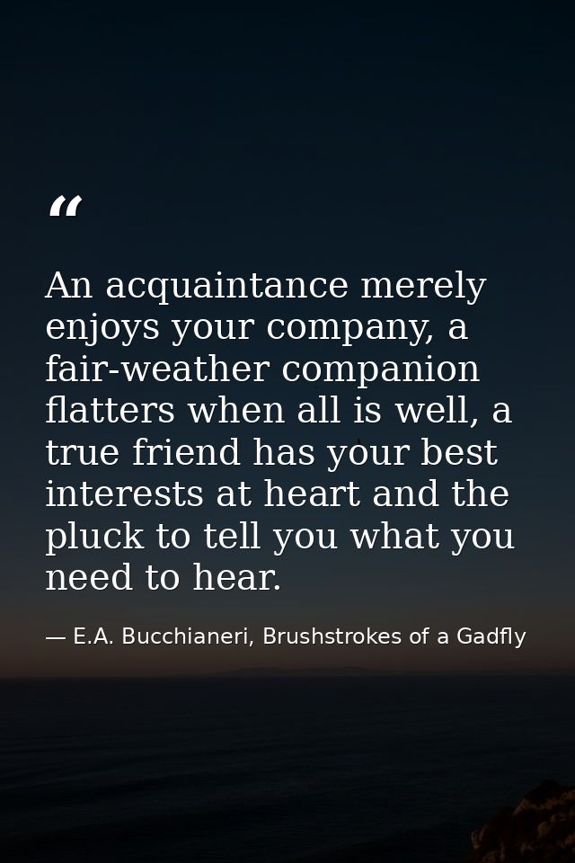 An acquaintance merely enjoys your company, a fair-weather companion flatters when all is well, a true friend has your b — E.A. Bucchianeri, Brushstrokes of a Gadfly