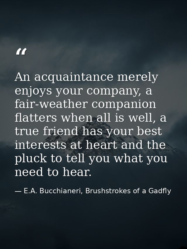 An acquaintance merely enjoys your company, a fair-weather companion flatters when all is well, a true friend has your b — E.A. Bucchianeri, Brushstrokes of a Gadfly