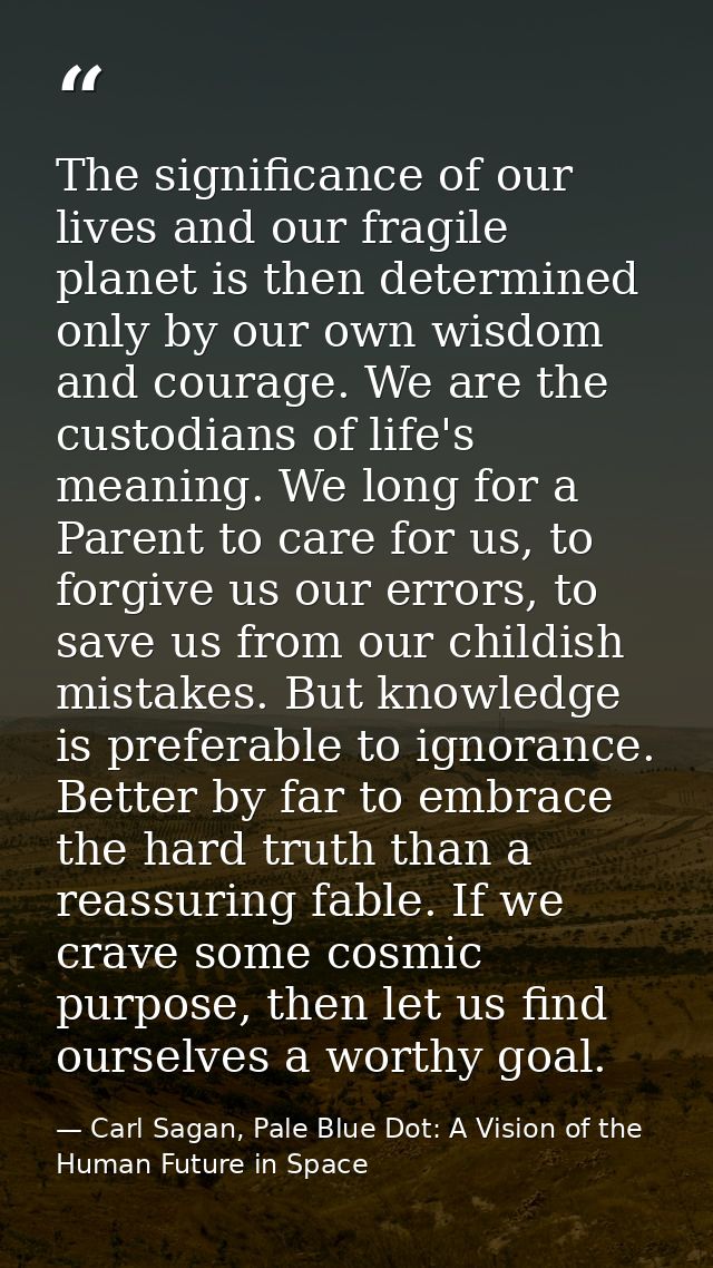 The significance of our lives and our fragile planet is then determined only by our own wisdom and courage. We are the c — Carl Sagan, Pale Blue Dot: A Vision of the Human Future in Space