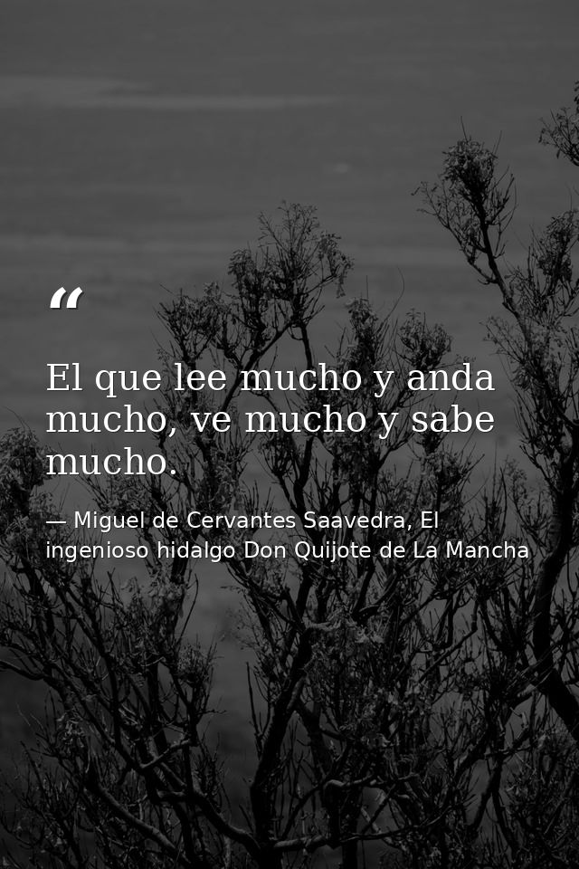 El que lee mucho y anda mucho, ve mucho y sabe mucho. — Miguel de Cervantes Saavedra, El ingenioso hidalgo Don Quijote de La Mancha
