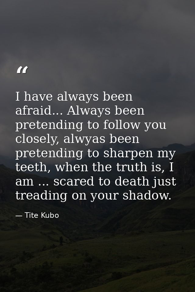 I have always been afraid... Always been pretending to follow you closely, alwyas been pretending to sharpen my teeth, w — Tite Kubo