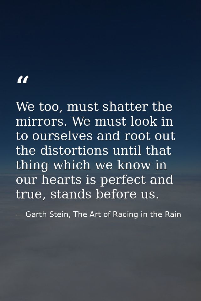 We too, must shatter the mirrors. We must look in to ourselves and root out the distortions until that thing which we kn — Garth Stein, The Art of Racing in the Rain