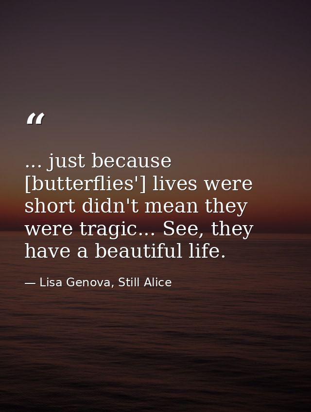 ... just because [butterflies'] lives were short didn't mean they were tragic... See, they have a beautiful life. — Lisa Genova, Still Alice