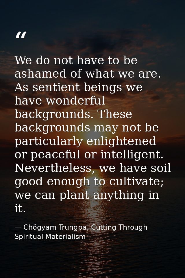 We do not have to be ashamed of what we are. As sentient beings we have wonderful backgrounds. These backgrounds may not — Chögyam Trungpa, Cutting Through Spiritual Materialism