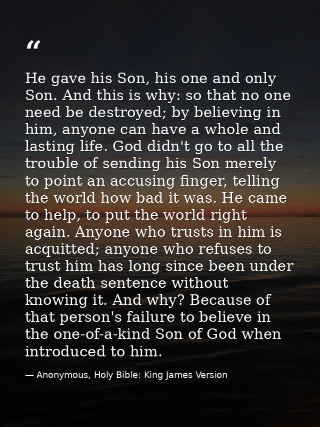 He gave his Son, his one and only Son. And this is why: so that no one need be destroyed; by believing in him, anyone ca — Anonymous, Holy Bible: King James Version