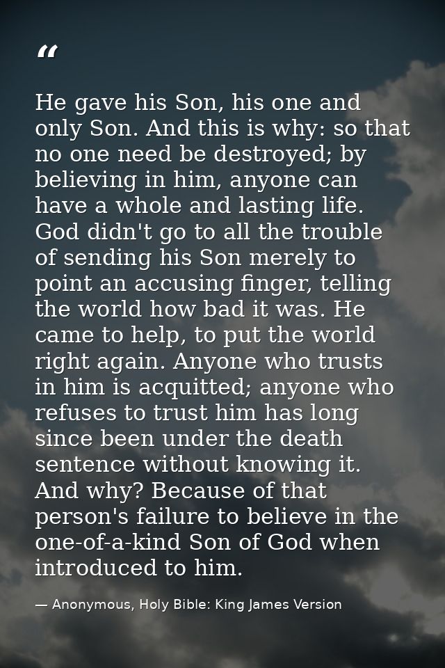 He gave his Son, his one and only Son. And this is why: so that no one need be destroyed; by believing in him, anyone ca — Anonymous, Holy Bible: King James Version