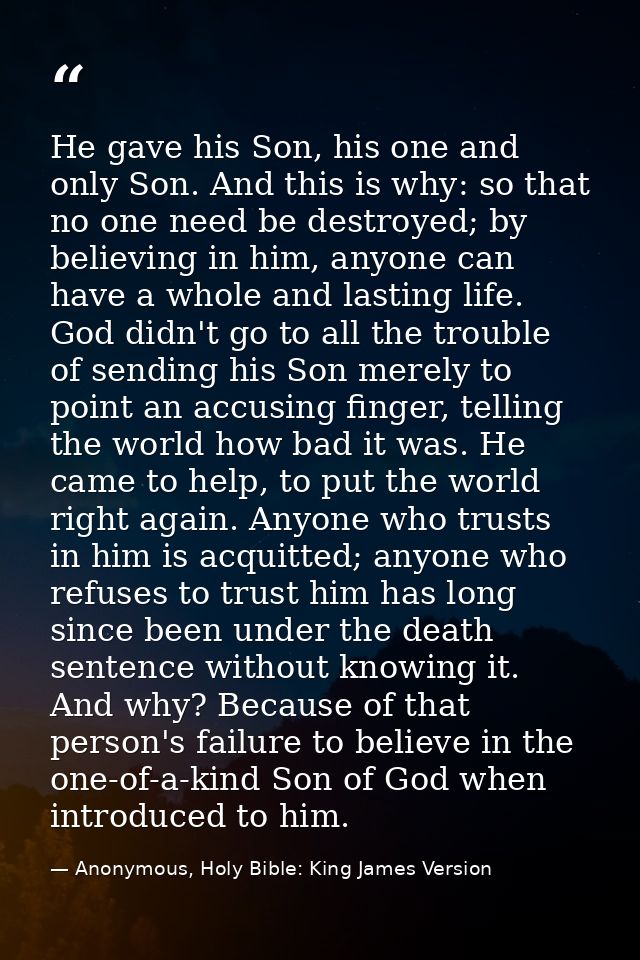 He gave his Son, his one and only Son. And this is why: so that no one need be destroyed; by believing in him, anyone ca — Anonymous, Holy Bible: King James Version