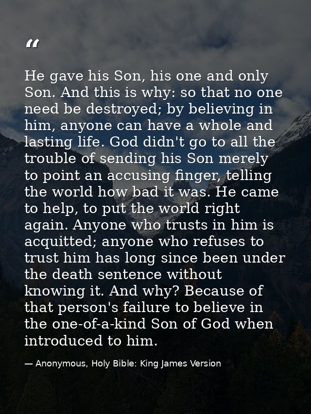 He gave his Son, his one and only Son. And this is why: so that no one need be destroyed; by believing in him, anyone ca — Anonymous, Holy Bible: King James Version