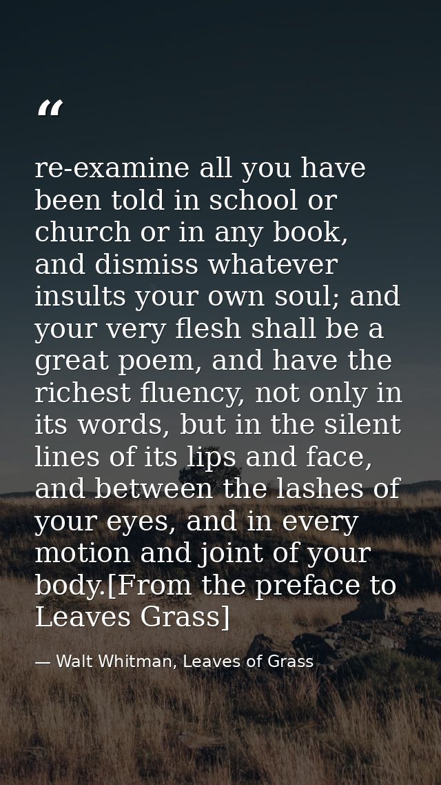 re-examine all you have been told in school or church or in any book, and dismiss whatever insults your own soul; and yo — Walt Whitman, Leaves of Grass