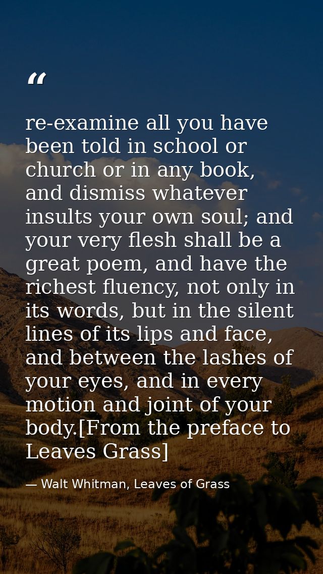 re-examine all you have been told in school or church or in any book, and dismiss whatever insults your own soul; and yo — Walt Whitman, Leaves of Grass