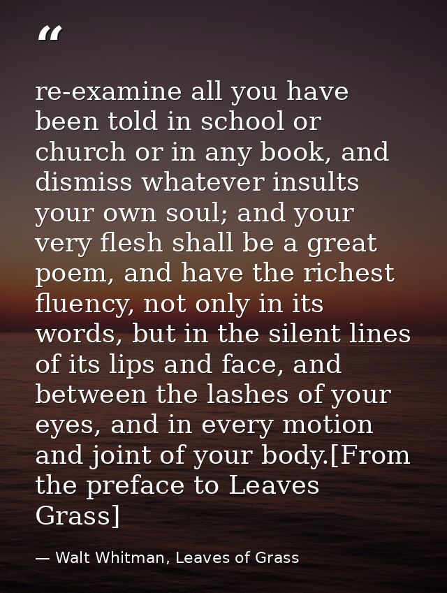 re-examine all you have been told in school or church or in any book, and dismiss whatever insults your own soul; and yo — Walt Whitman, Leaves of Grass