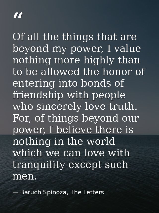 Of all the things that are beyond my power, I value nothing more highly than to be allowed the honor of entering into bo — Baruch Spinoza, The Letters