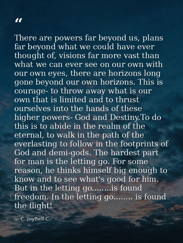 There are powers far beyond us, plans far beyond what we could have ever thought of, visions far more vast than what we  — C. JoyBell C.