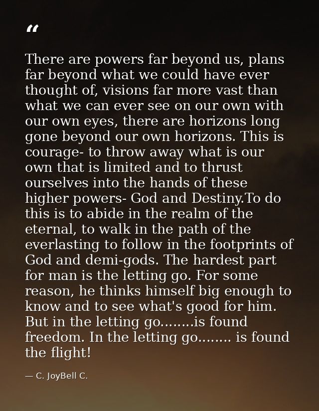 There are powers far beyond us, plans far beyond what we could have ever thought of, visions far more vast than what we  — C. JoyBell C.