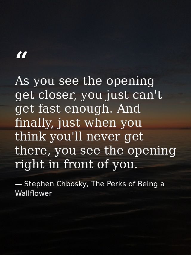 As you see the opening get closer, you just can't get fast enough. And finally, just when you think you'll never get the — Stephen Chbosky, The Perks of Being a Wallflower
