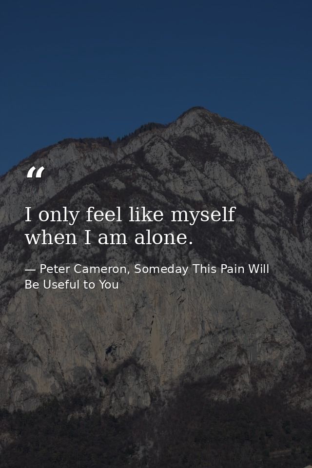 I only feel like myself when I am alone. — Peter Cameron, Someday This Pain Will Be Useful to You