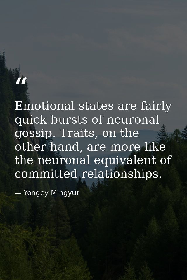 Emotional states are fairly quick bursts of neuronal gossip. Traits, on the other hand, are more like the neuronal equiv — Yongey Mingyur