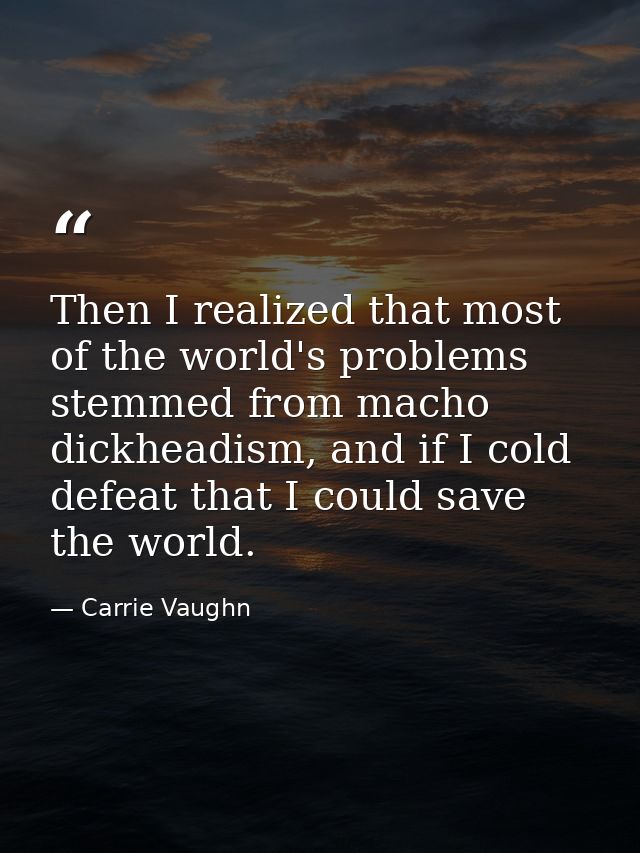 Then I realized that most of the world's problems stemmed from macho dickheadism, and if I cold defeat that I could save — Carrie Vaughn