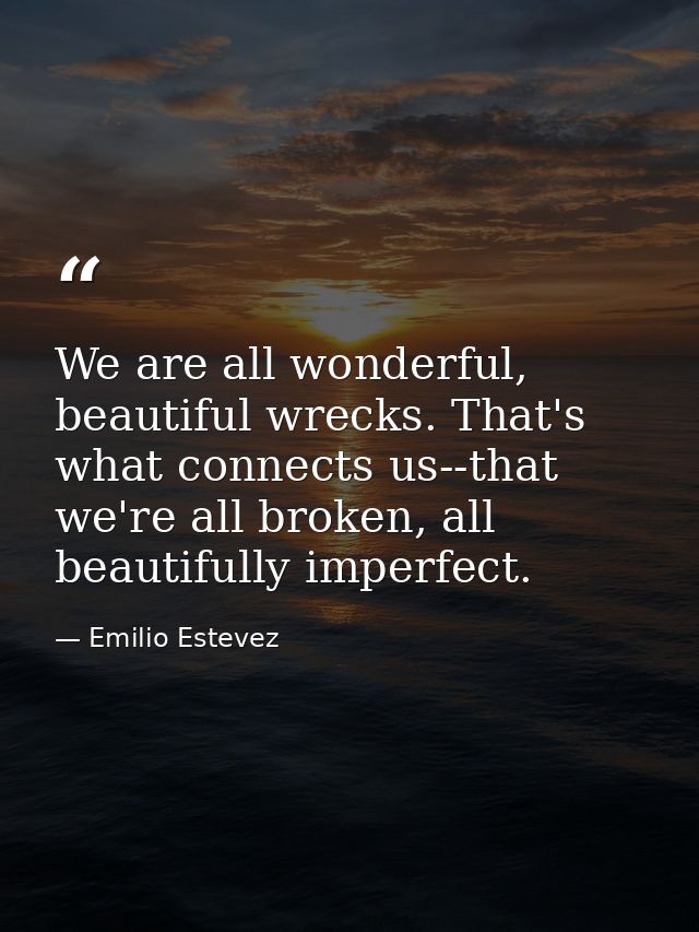 We are all wonderful, beautiful wrecks. That's what connects us--that we're all broken, all beautifully imperfect. — Emilio Estevez