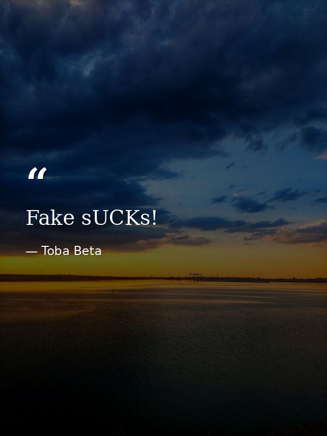 Fake sUCKs! — Toba Beta