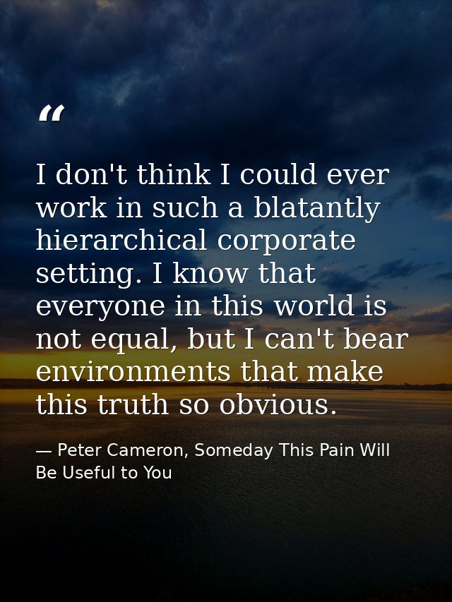 I don't think I could ever work in such a blatantly hierarchical corporate setting. I know that everyone in this world i — Peter Cameron, Someday This Pain Will Be Useful to You