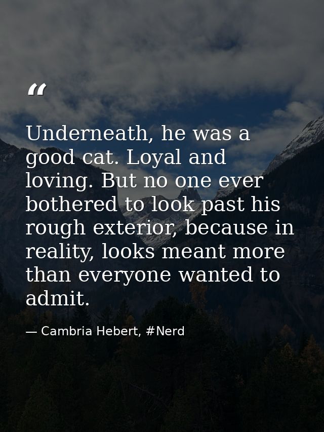 Underneath, he was a good cat. Loyal and loving. But no one ever bothered to look past his rough exterior, because in re — Cambria Hebert, #Nerd