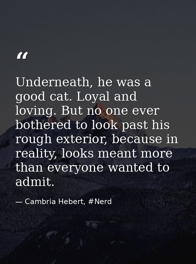 Underneath, he was a good cat. Loyal and loving. But no one ever bothered to look past his rough exterior, because in re — Cambria Hebert, #Nerd