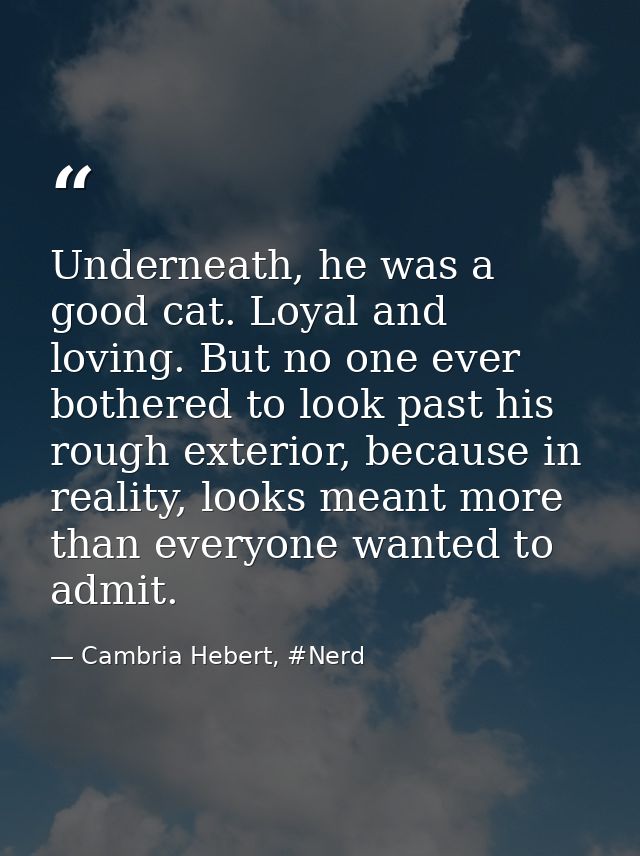 Underneath, he was a good cat. Loyal and loving. But no one ever bothered to look past his rough exterior, because in re — Cambria Hebert, #Nerd