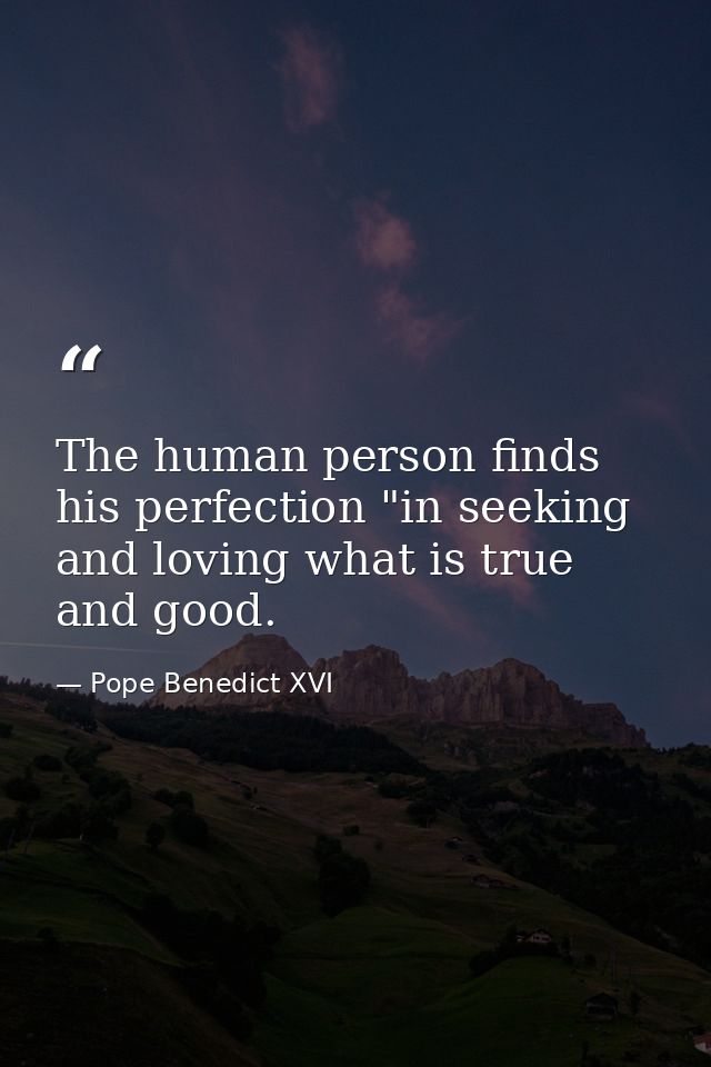 The human person finds his perfection "in seeking and loving what is true and good. — Pope Benedict XVI