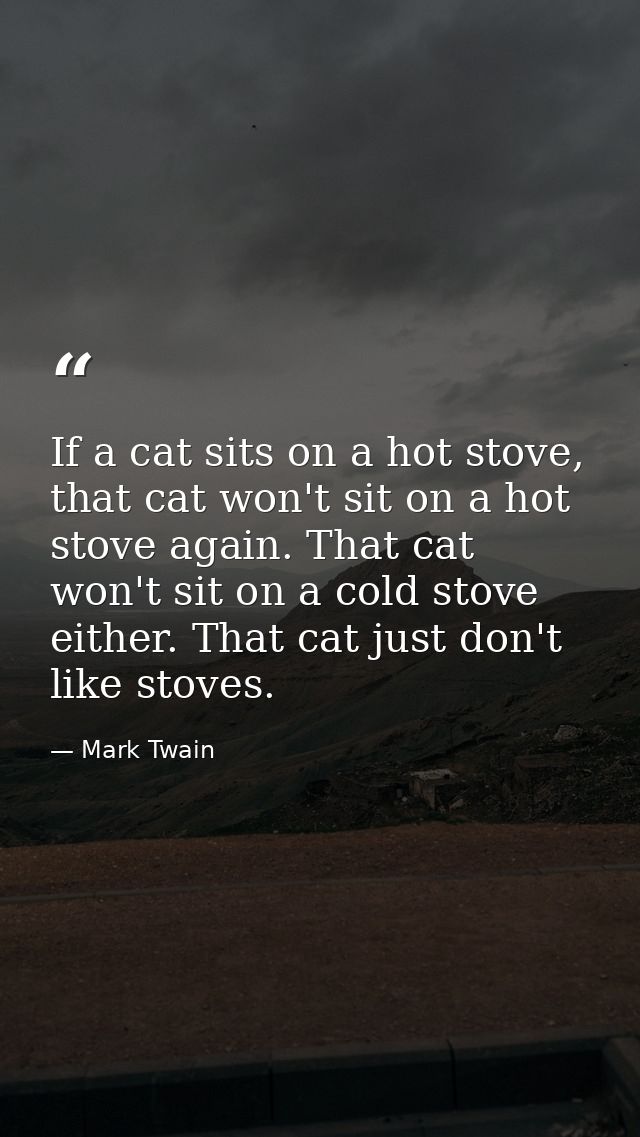 If a cat sits on a hot stove, that cat won't sit on a hot stove again. That cat won't sit on a cold stove either. That c — Mark Twain