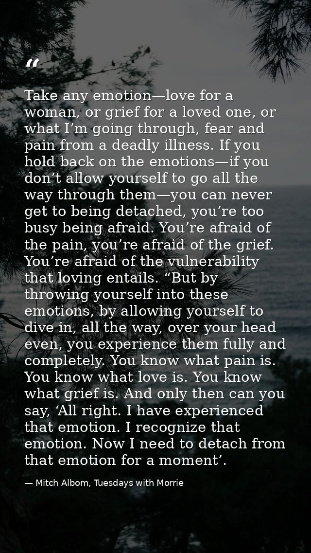 Take any emotion—love for a woman, or grief for a loved one, or what I’m going through, fear and pain from a deadly illn — Mitch Albom, Tuesdays with Morrie