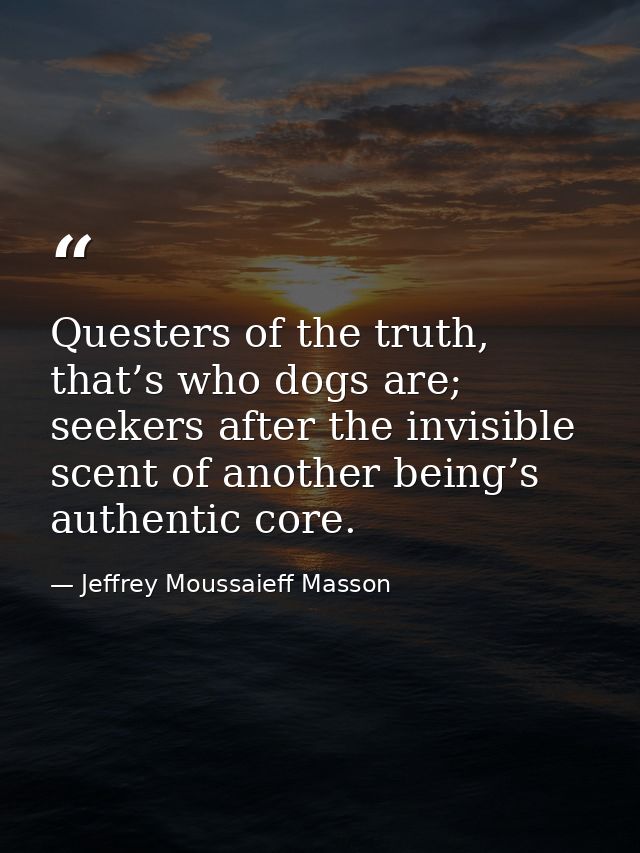 Questers of the truth, that’s who dogs are; seekers after the invisible scent of another being’s authentic core. — Jeffrey Moussaieff Masson