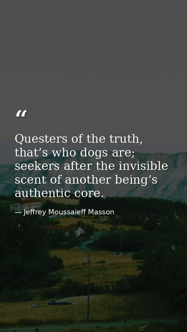 Questers of the truth, that’s who dogs are; seekers after the invisible scent of another being’s authentic core. — Jeffrey Moussaieff Masson