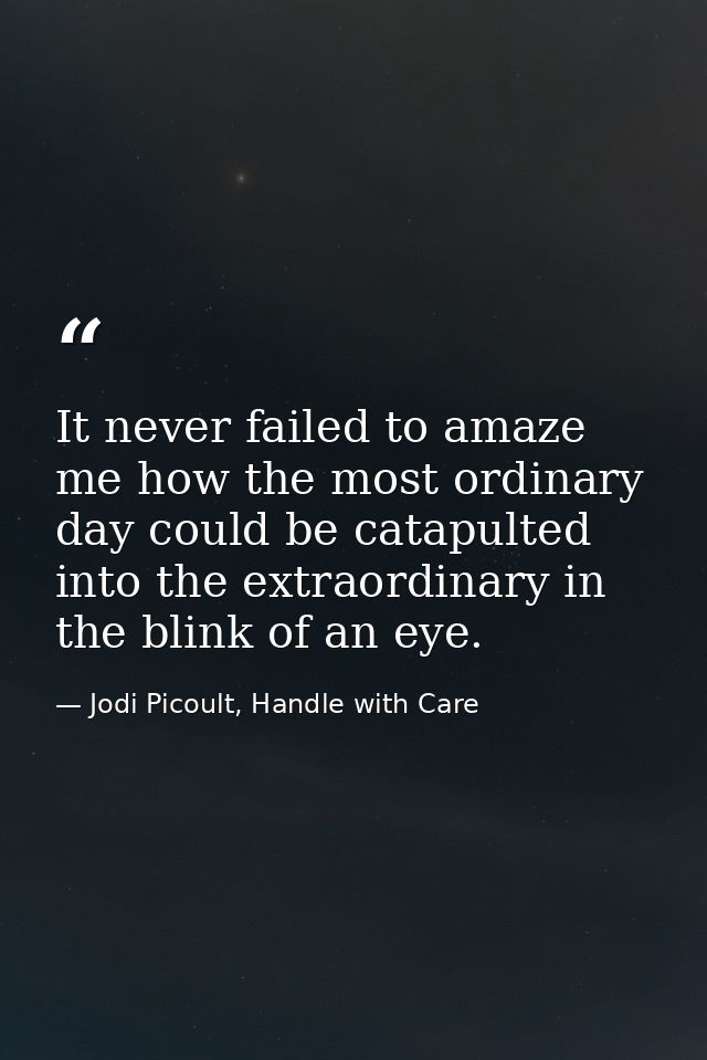 It never failed to amaze me how the most ordinary day could be catapulted into the extraordinary in the blink of an eye. — Jodi Picoult, Handle with Care