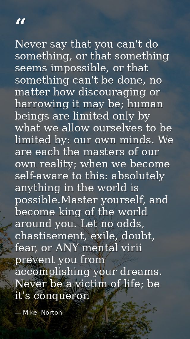 Never say that you can't do something, or that something seems impossible, or that something can't be done, no matter ho — Mike  Norton